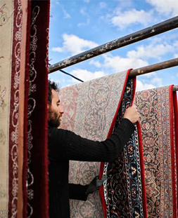 خشک کردن قالی در قالیشویی سجاد مشهد 